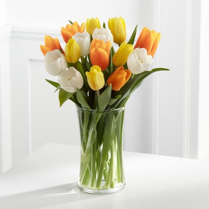 15 tulipanes  en un jarrón